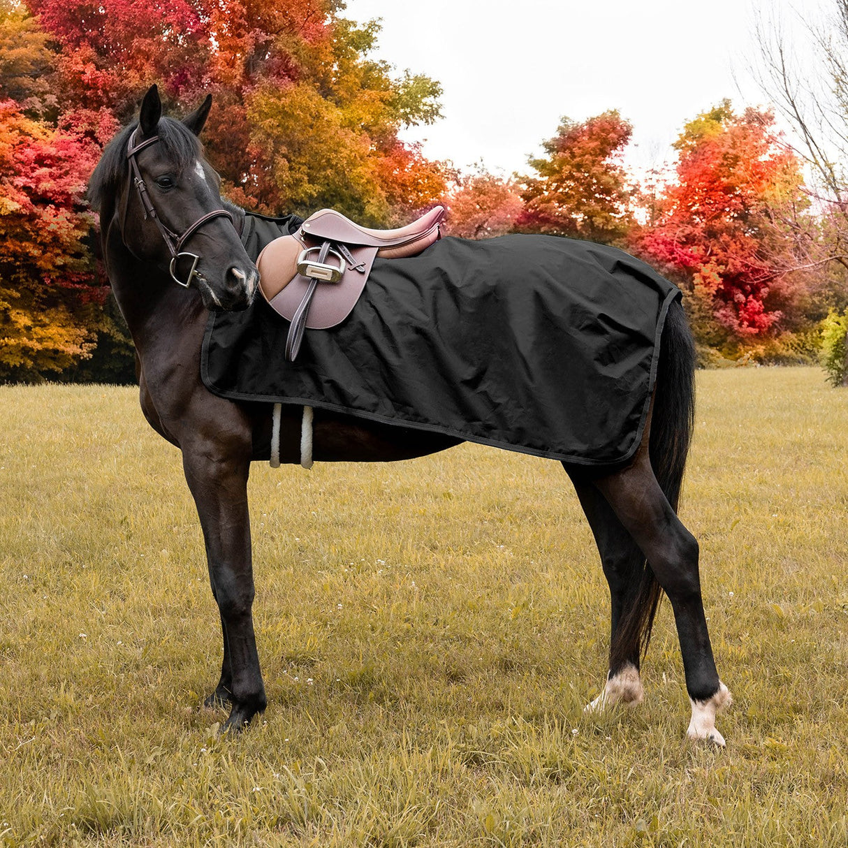 Shedrow Weatherproof Exercise Sheet
