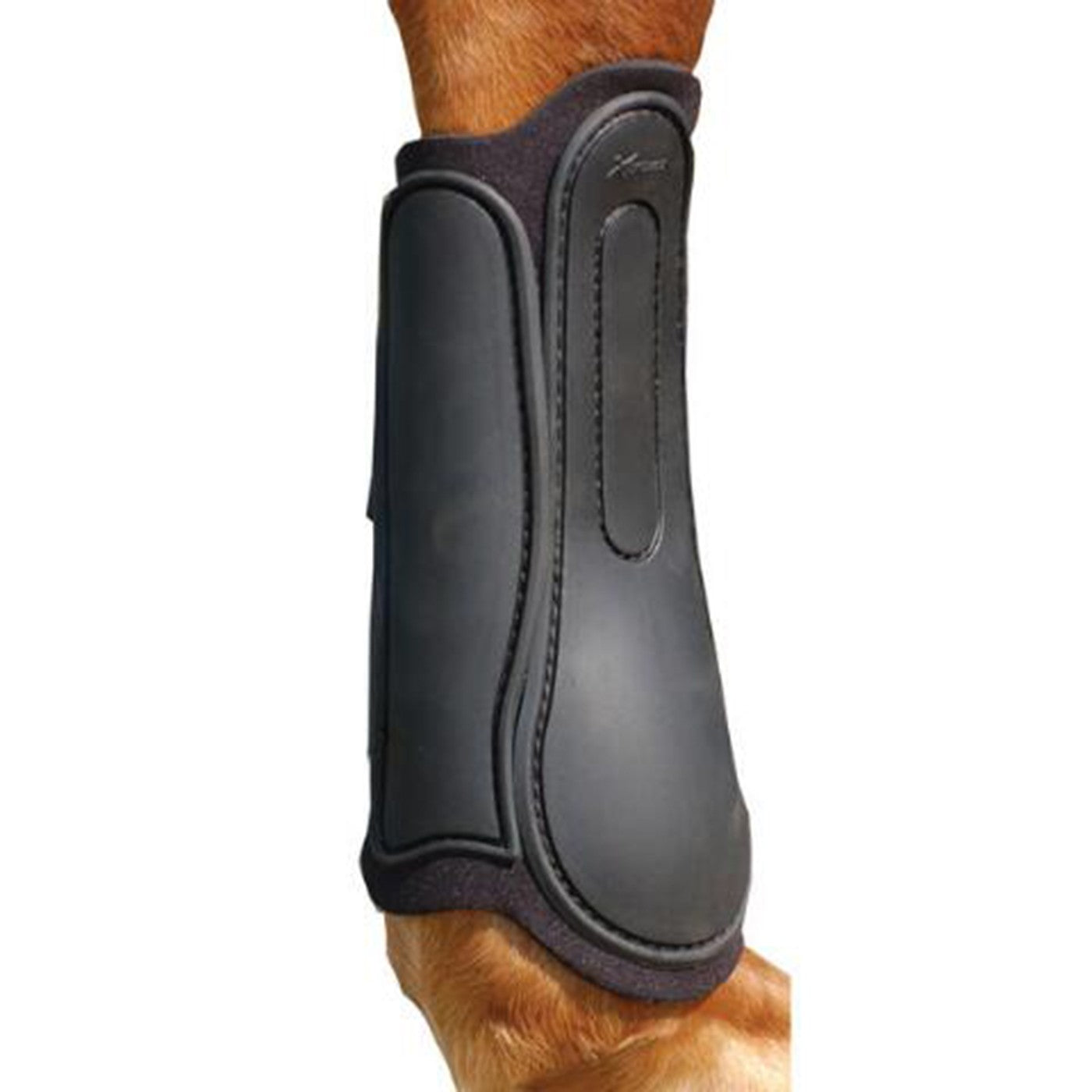 Xtreme Tendon & Splint Back Protection