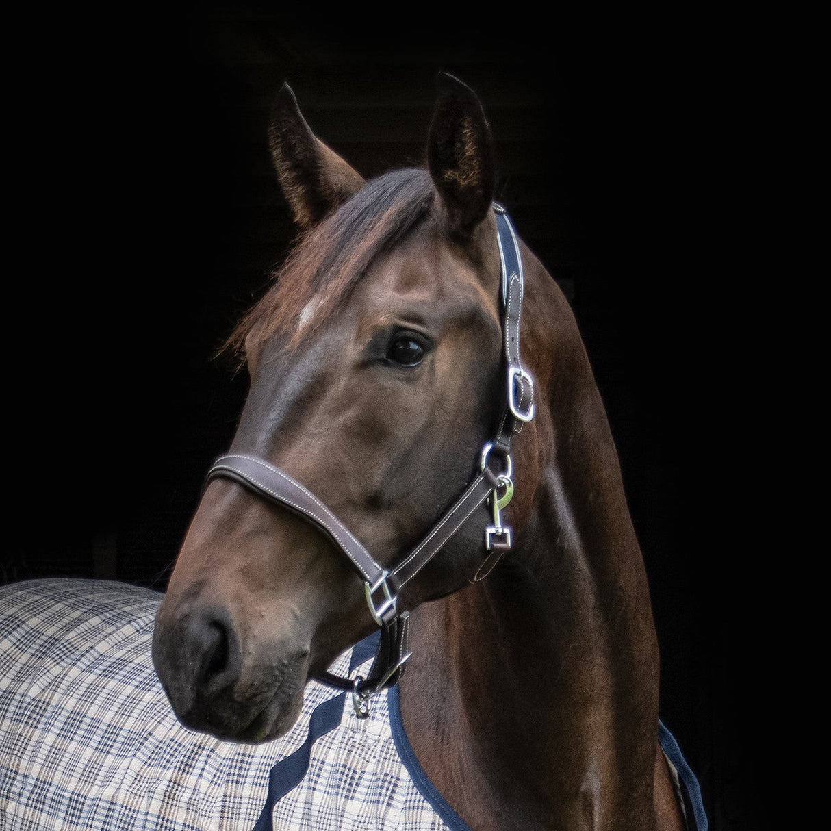 Val du Bois Comfort Crown Leather & Elastic Halter
