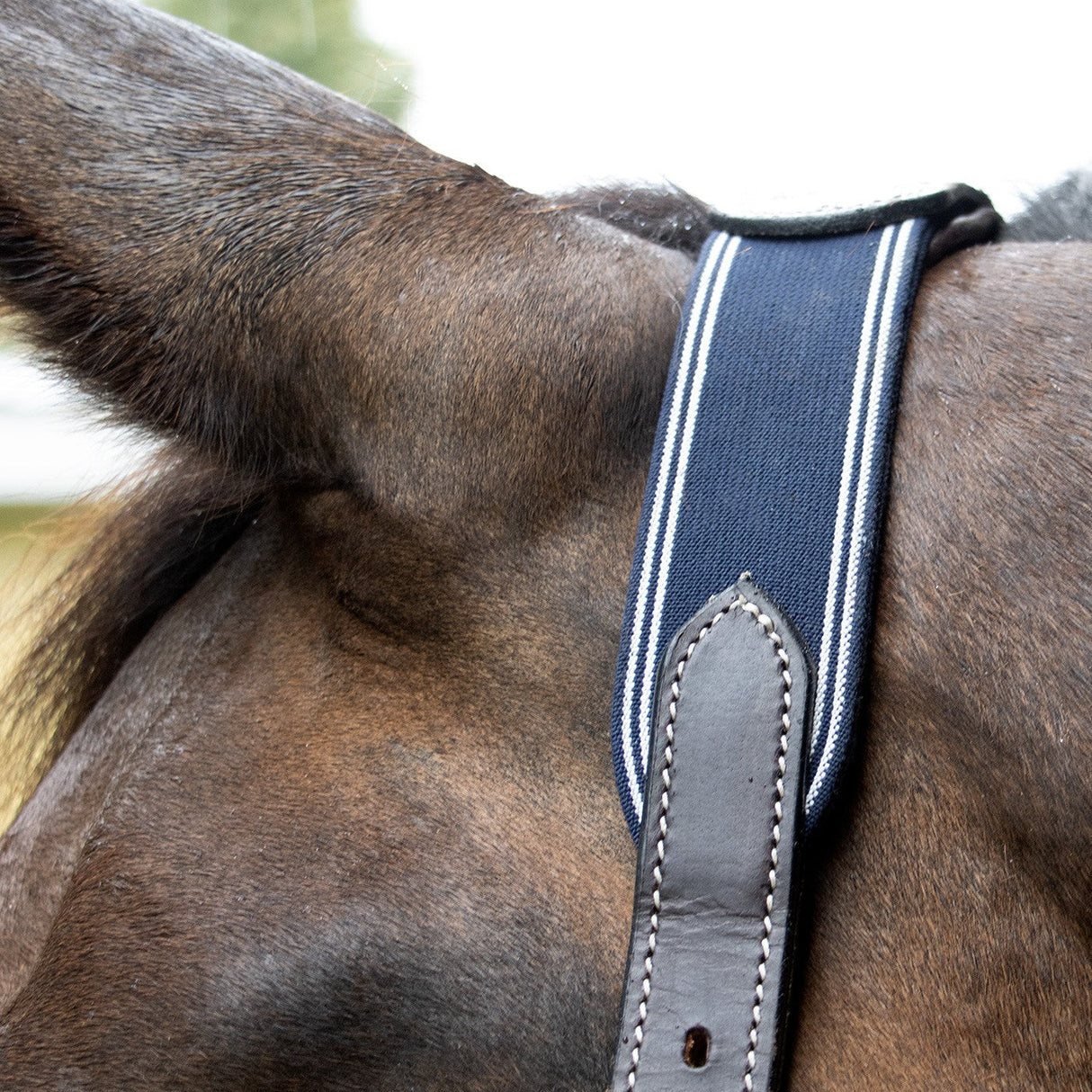 Val du Bois Comfort Crown Leather & Elastic Halter
