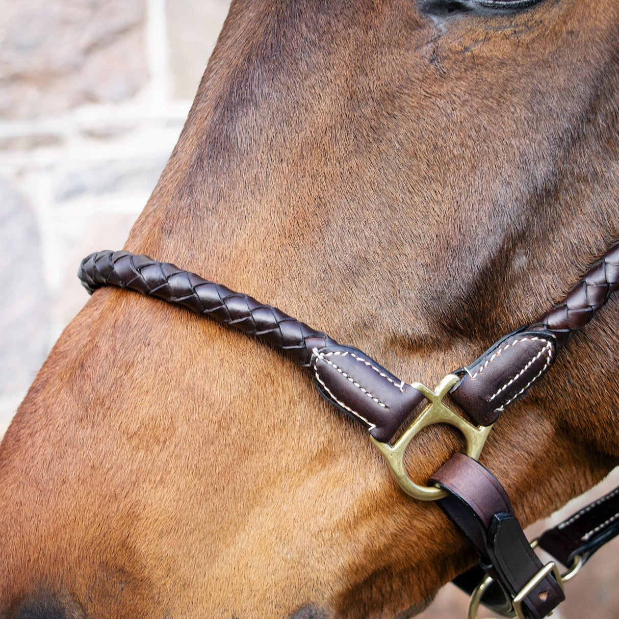 Val du Bois Braided Leather Halter