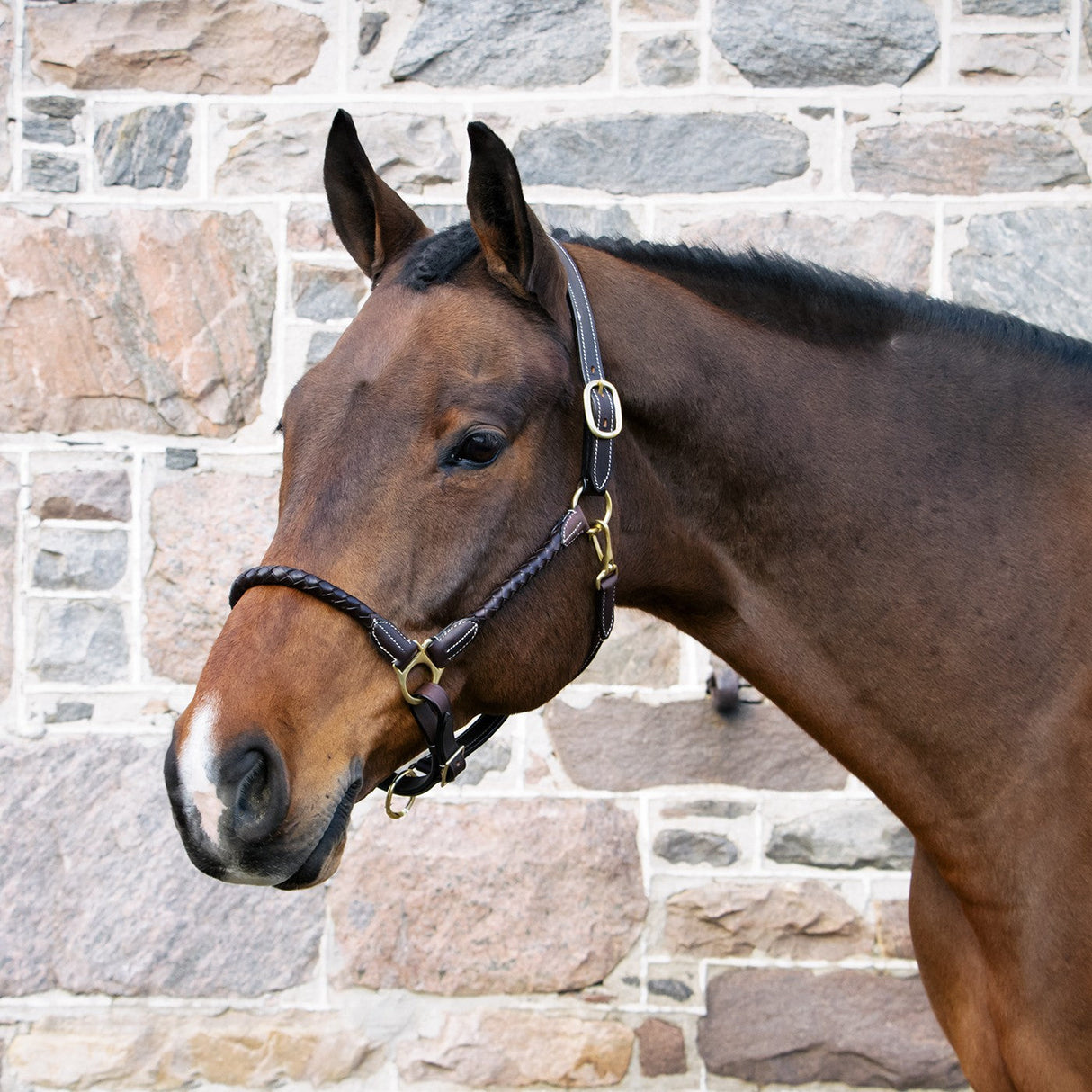 Val du Bois Braided Leather Halter