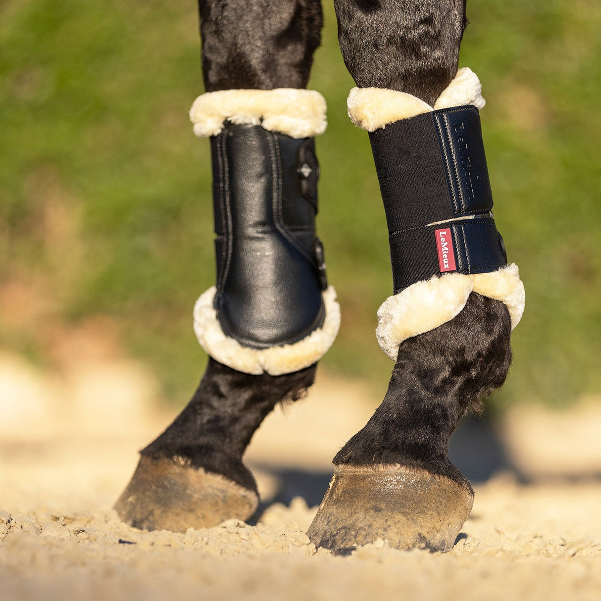 LeMieux Fleece Edged Mesh Brushing Boots