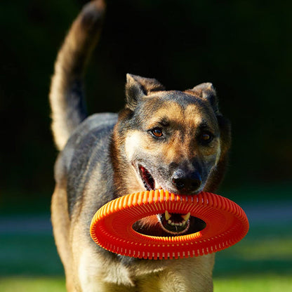 Chuckit! Rugged Flyer Dog Toy