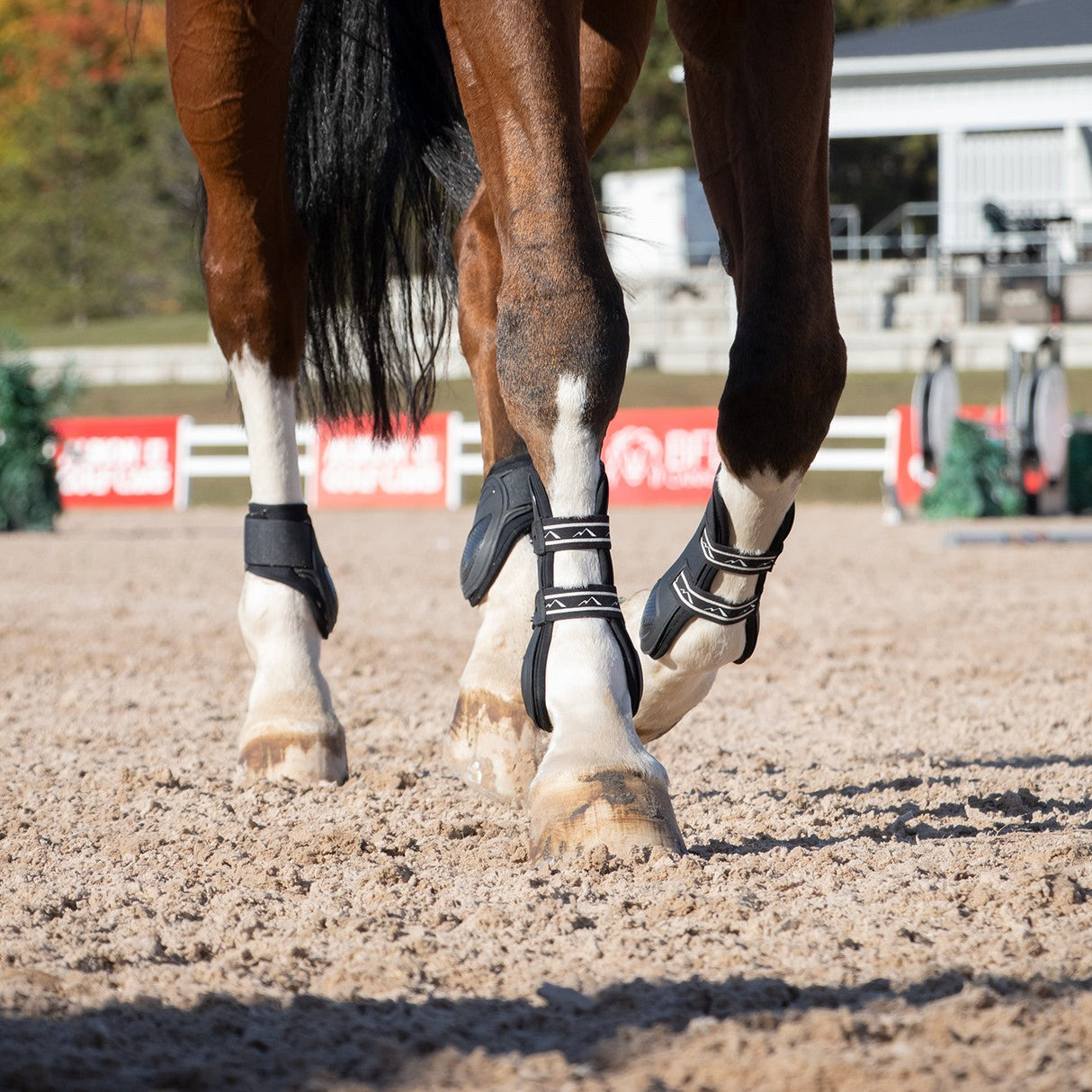 Summit Open Front Tendon Boots