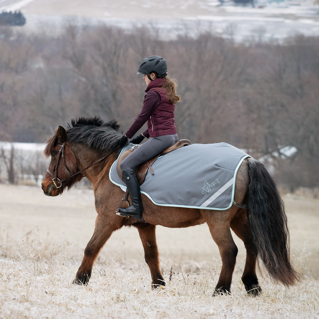 Swift Pony Exercise Sheet