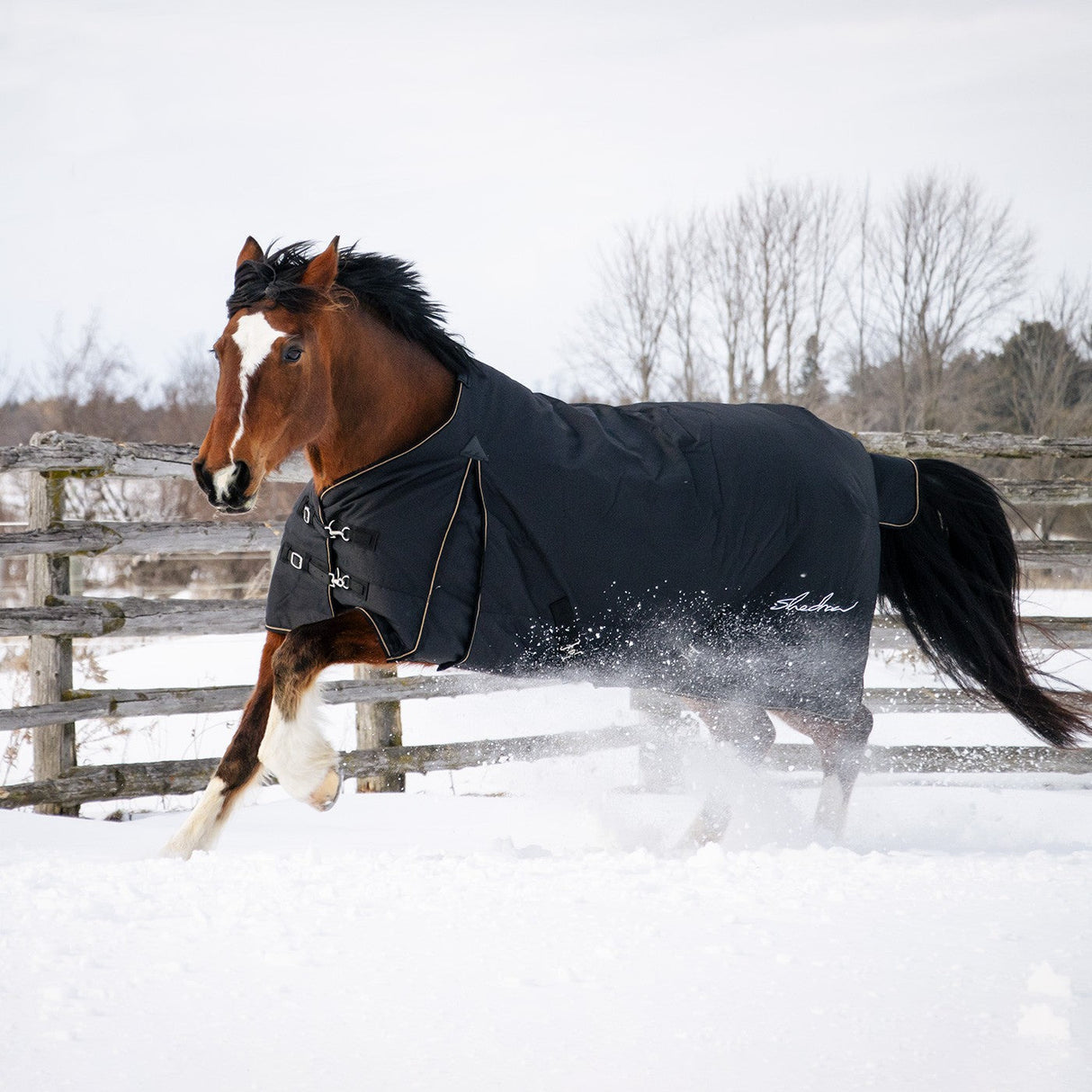 Shedrow Turnout Blanket 300 g