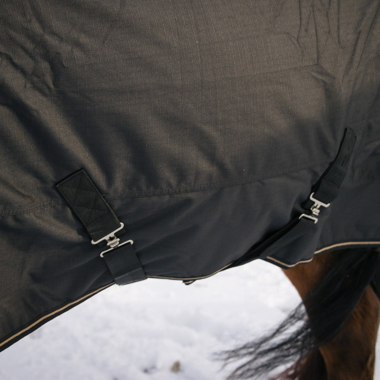 Shedrow Turnout Blanket 300 g
