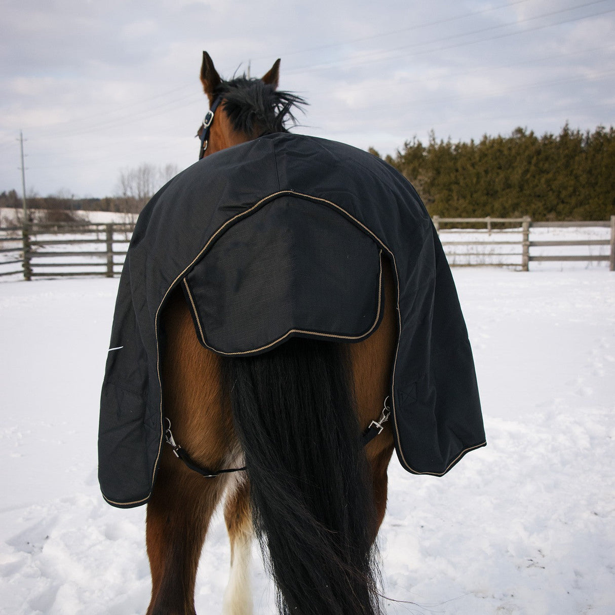 Shedrow Turnout Blanket 300 g