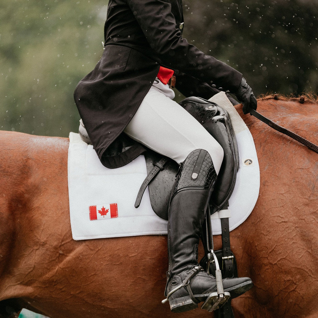 EcoGold Secure Dressage Saddle Pad