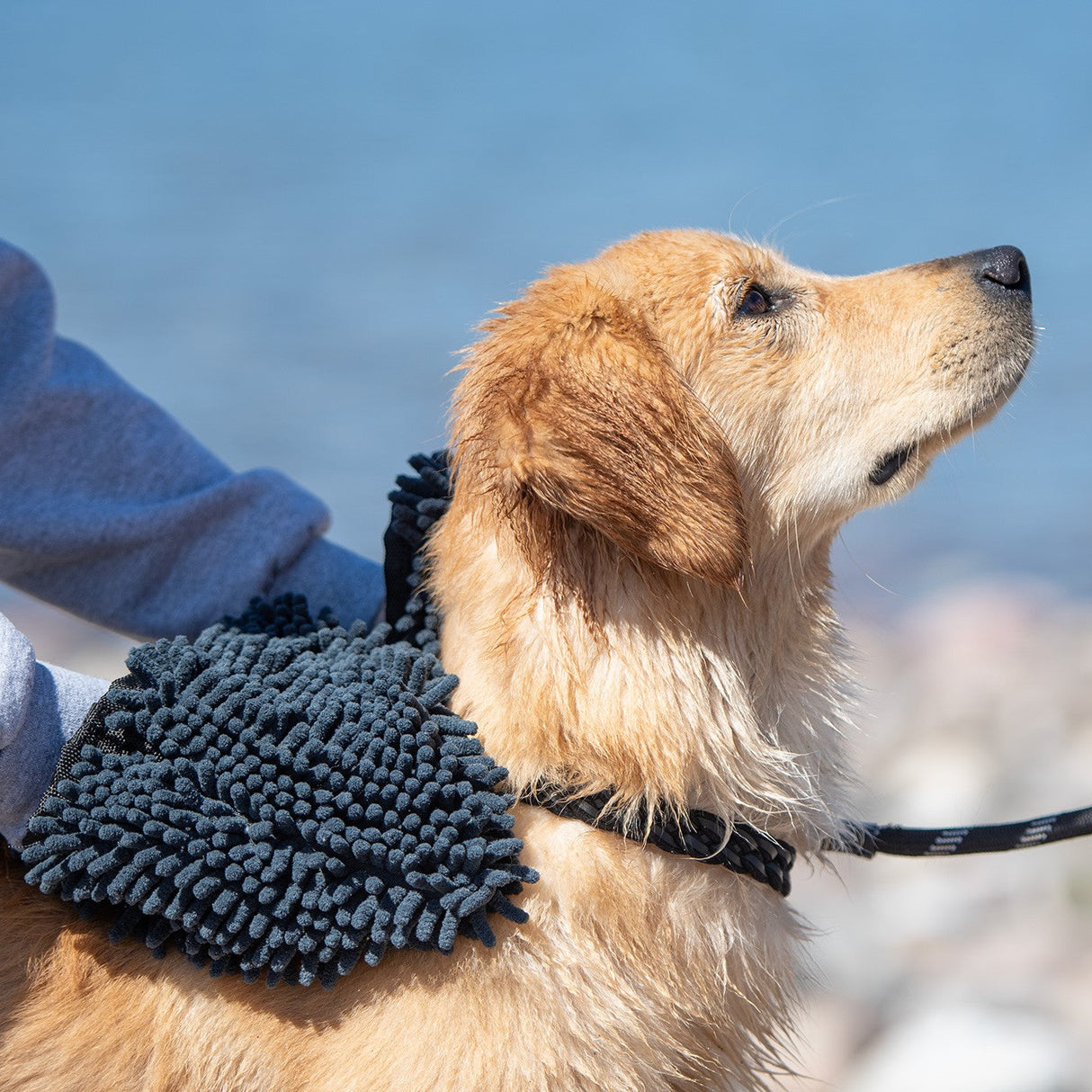 Shedrow K9 Super Towel
