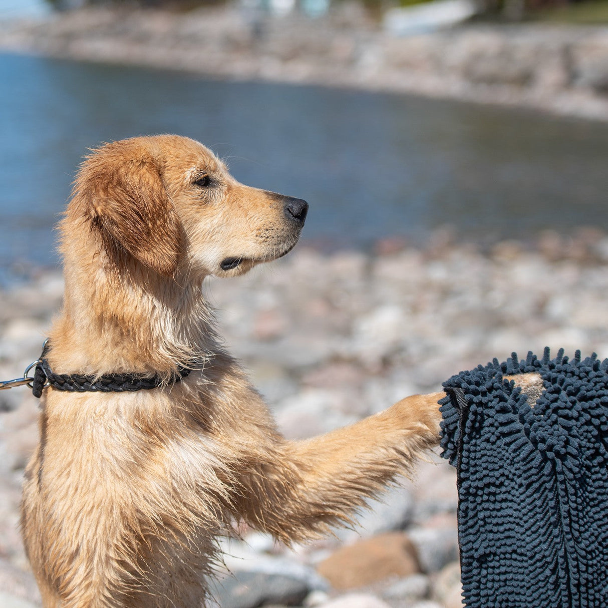 Shedrow K9 Super Towel