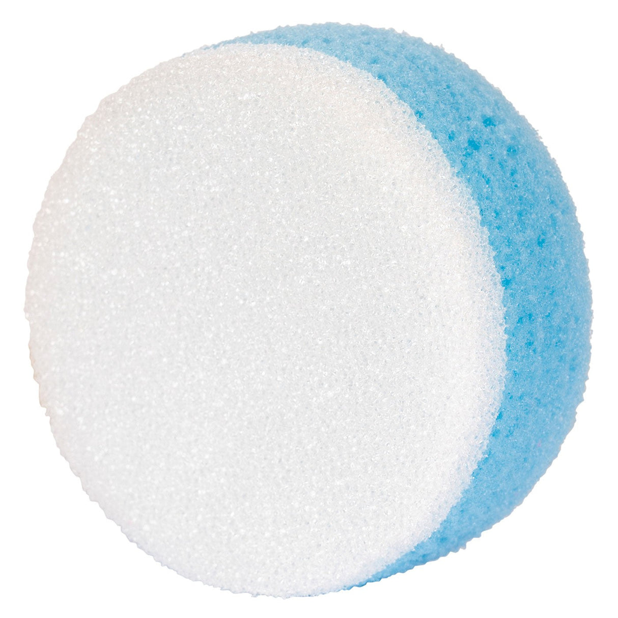 Small Scrub Sponge