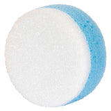 Small Scrub Sponge