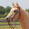 Copper Canyon Finished Leather Browband Headstall W/ Chicago Screws