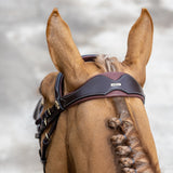 LeMieux Kudos Competition Flash Bridle