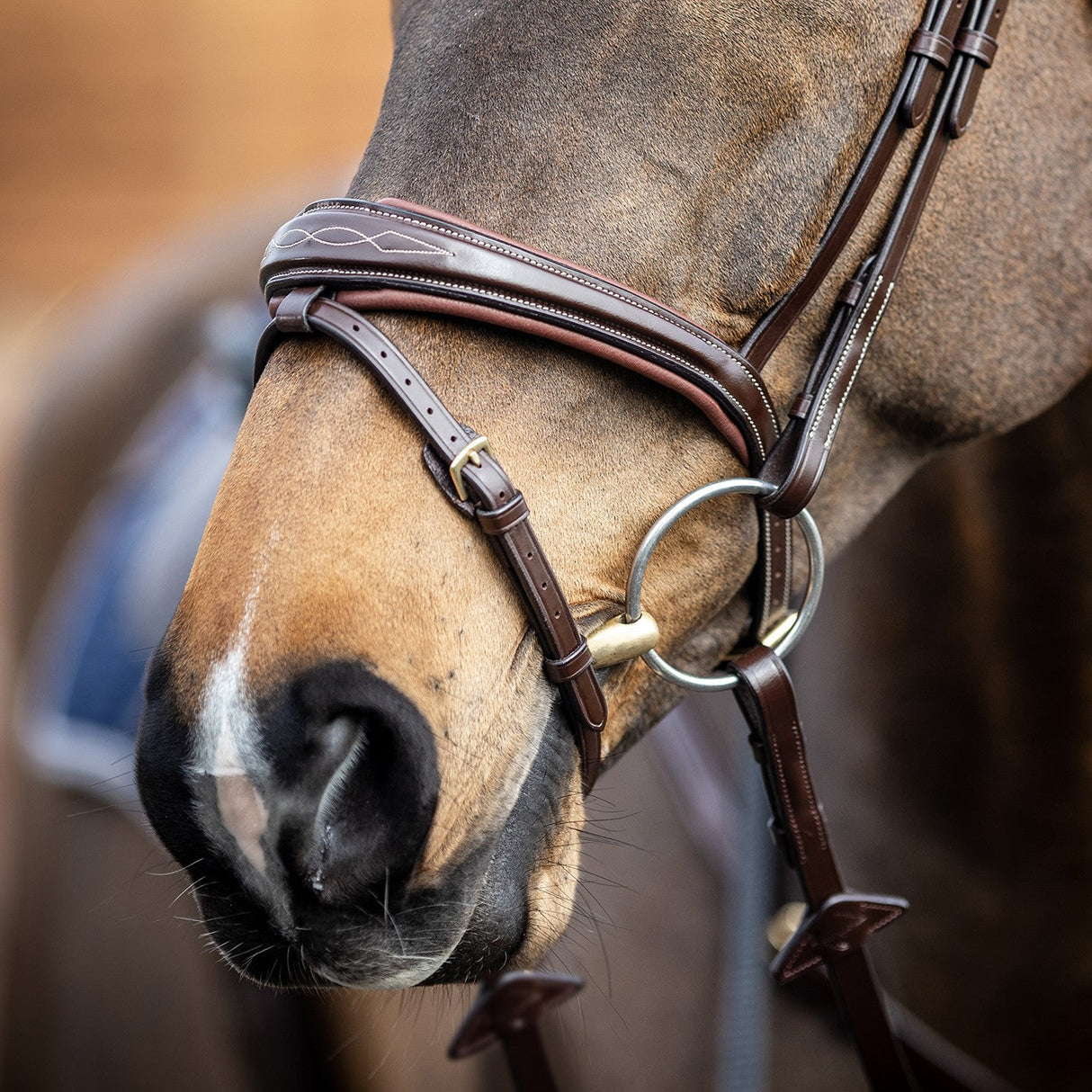 LeMieux Kudos Competition Flash Bridle