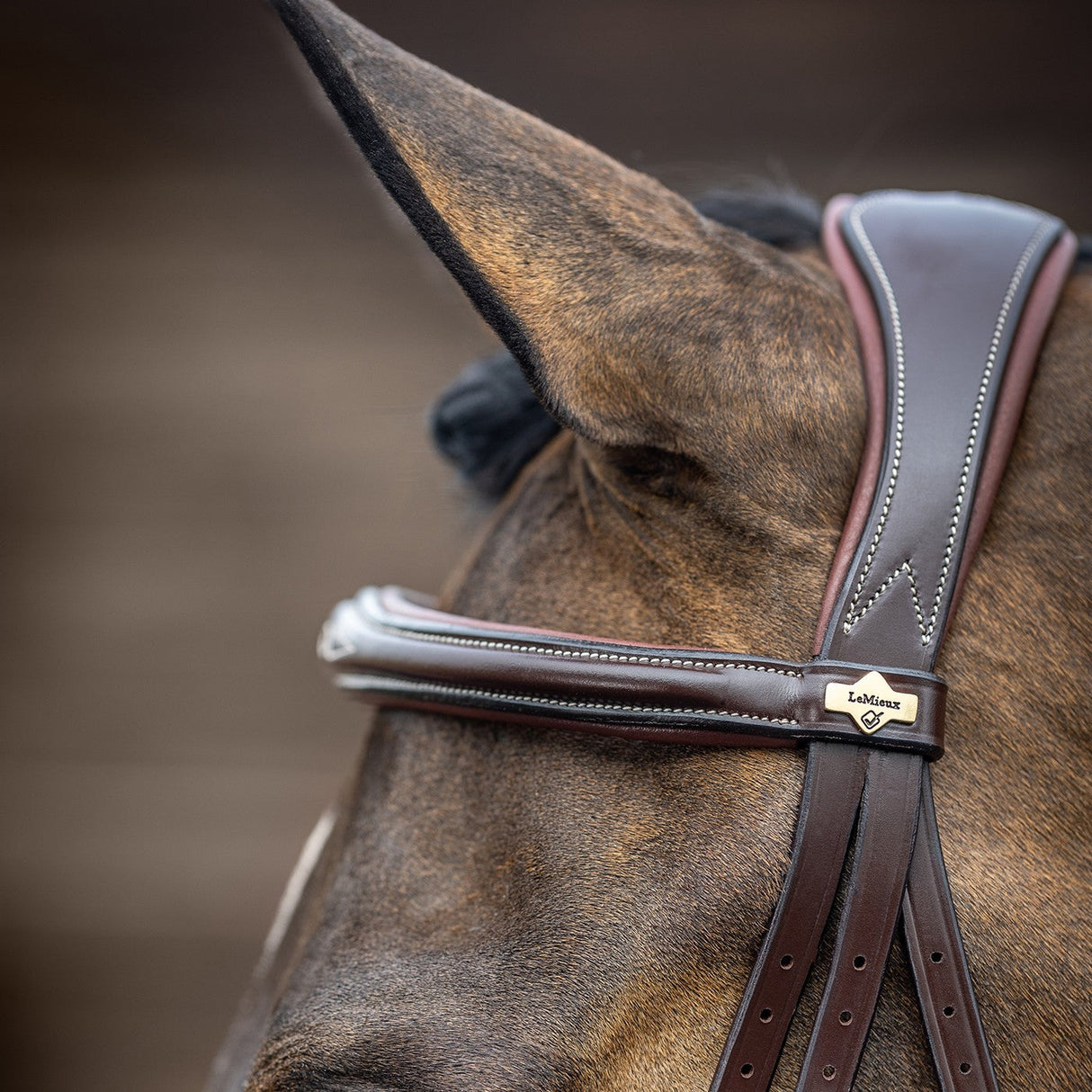 LeMieux Kudos Competition Flash Bridle