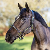 LeMieux Rope Control Halter