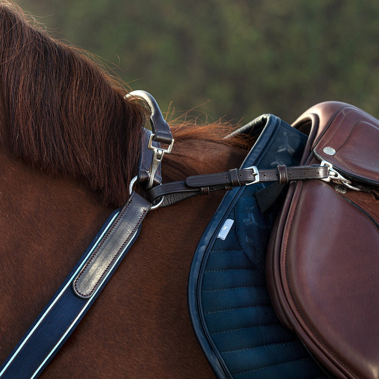 Rambo Micklem Breastplate