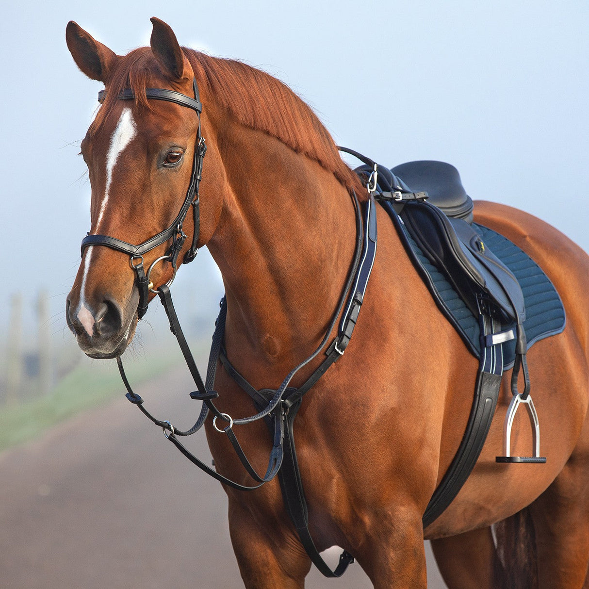 Rambo Micklem Breastplate