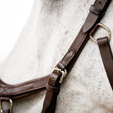 Rambo Micklem Deluxe Competition Bridle W/ Reins