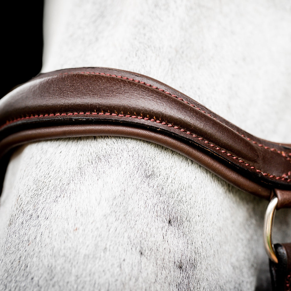 Rambo Micklem Deluxe Competition Bridle W/ Reins