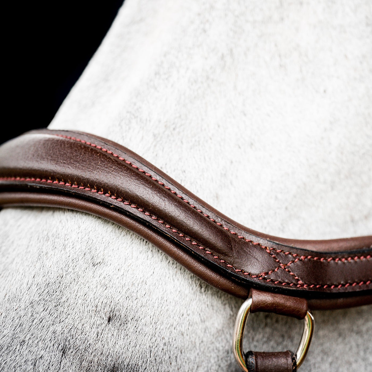 Rambo Micklem Deluxe Competition Bridle W/ Reins