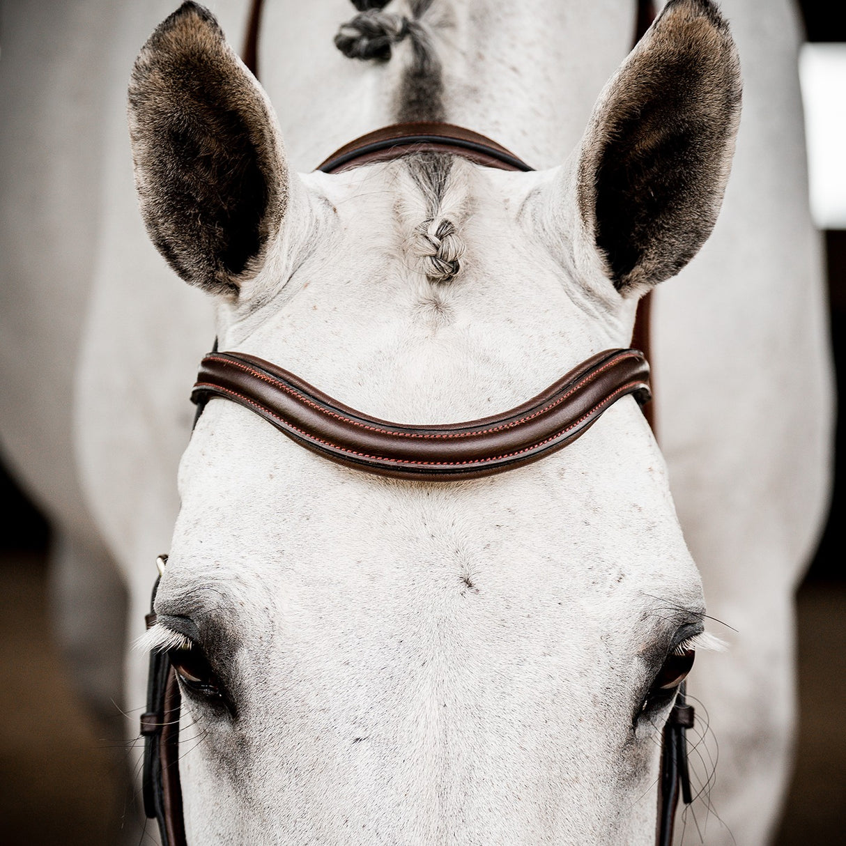 Rambo Micklem Deluxe Competition Bridle W/ Reins