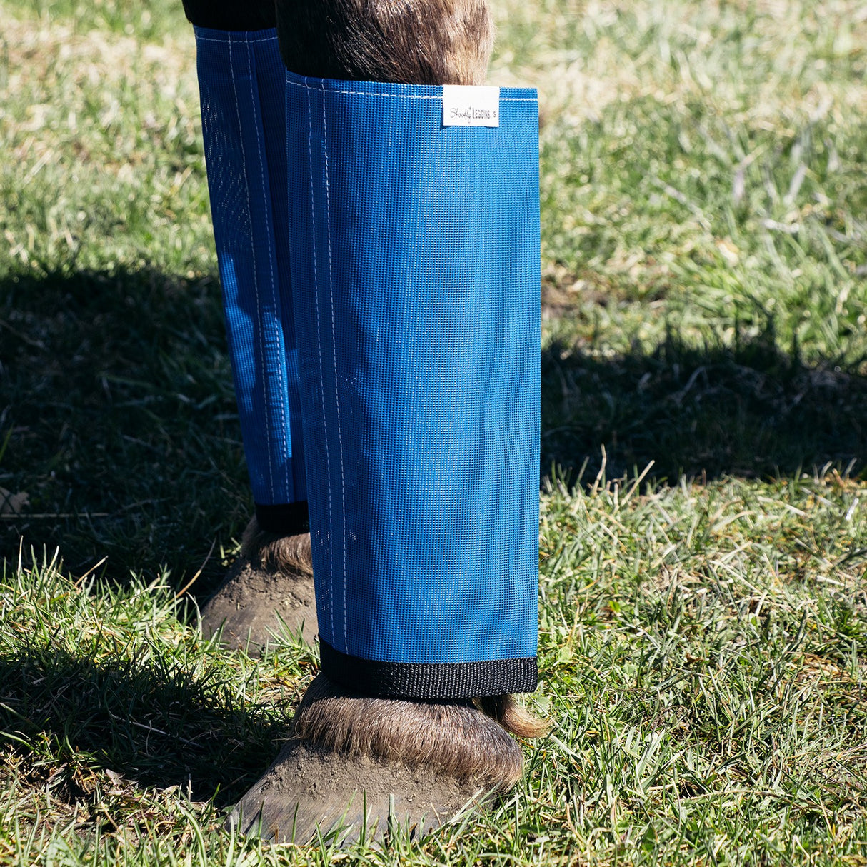 Shoofly Leggins Horse Boots