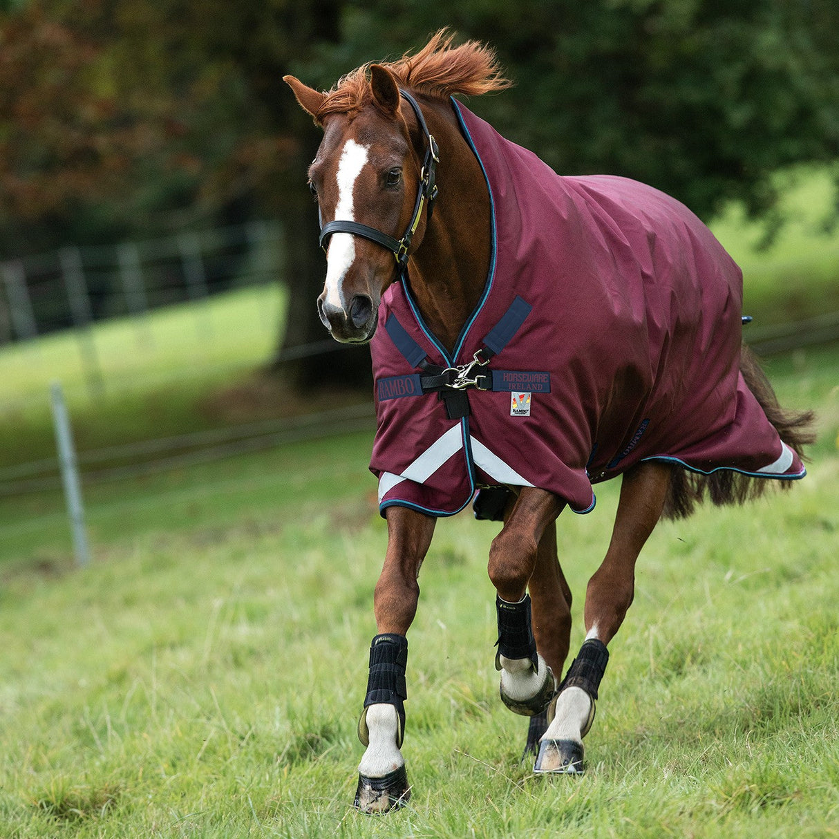 Rambo Wug Medium Turnout Blanket 200 g