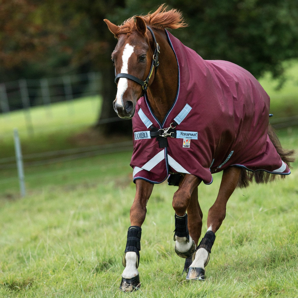 Rambo Wug Lite Turnout Blanket 50 g