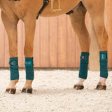 LeMieux Loire Polo Wraps