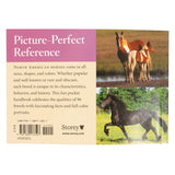 Horse Breeds of North America