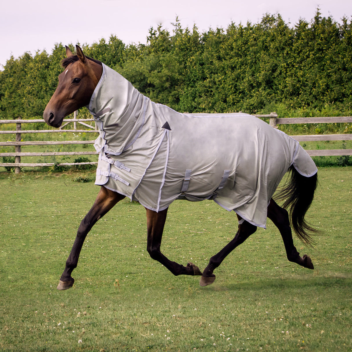 Supra Full Neck Mesh Fly Sheet