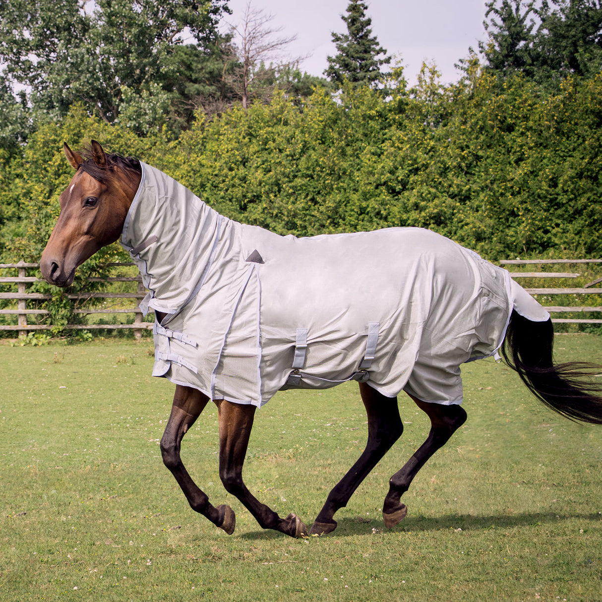 Supra Full Neck Mesh Fly Sheet
