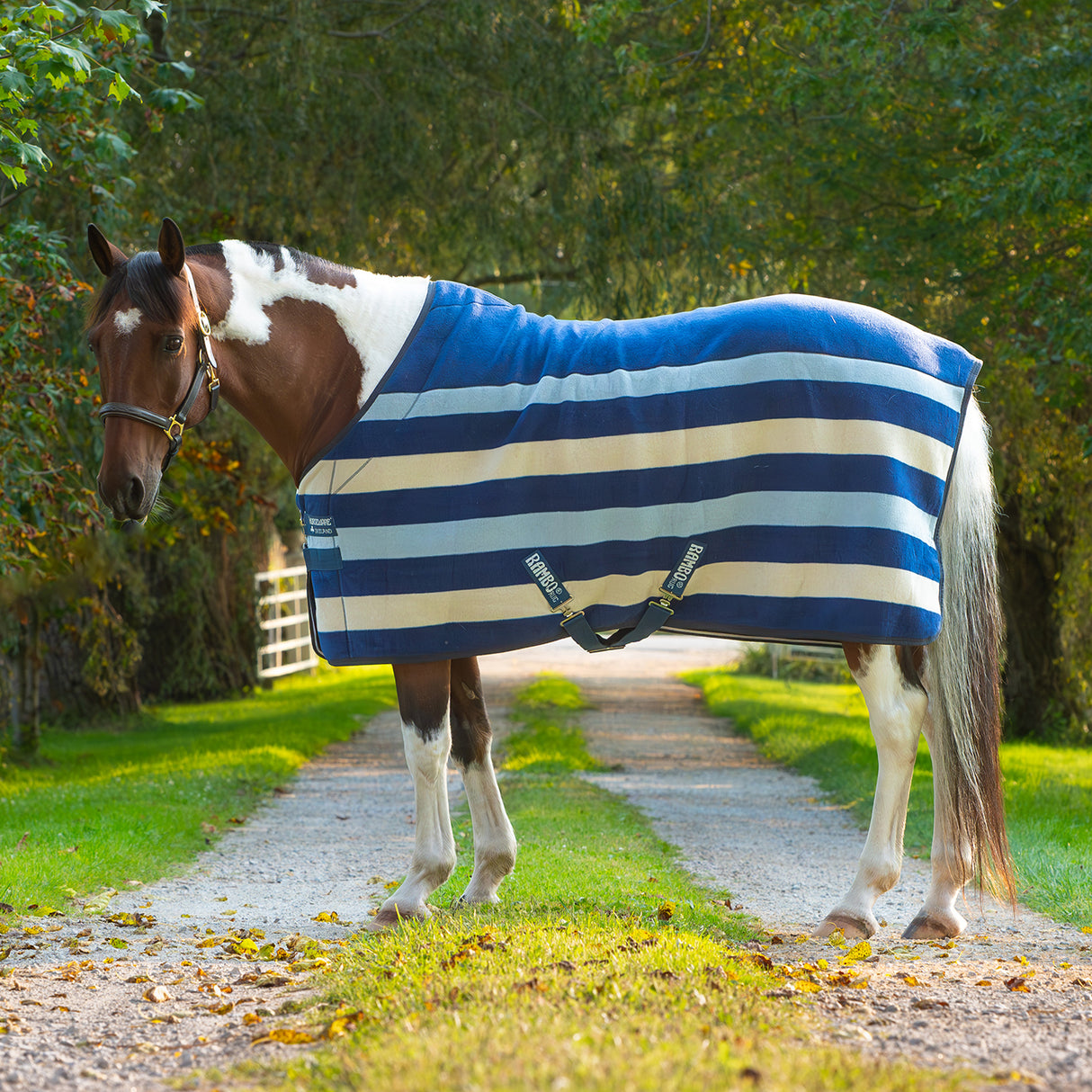 Rambo Deluxe Fleece