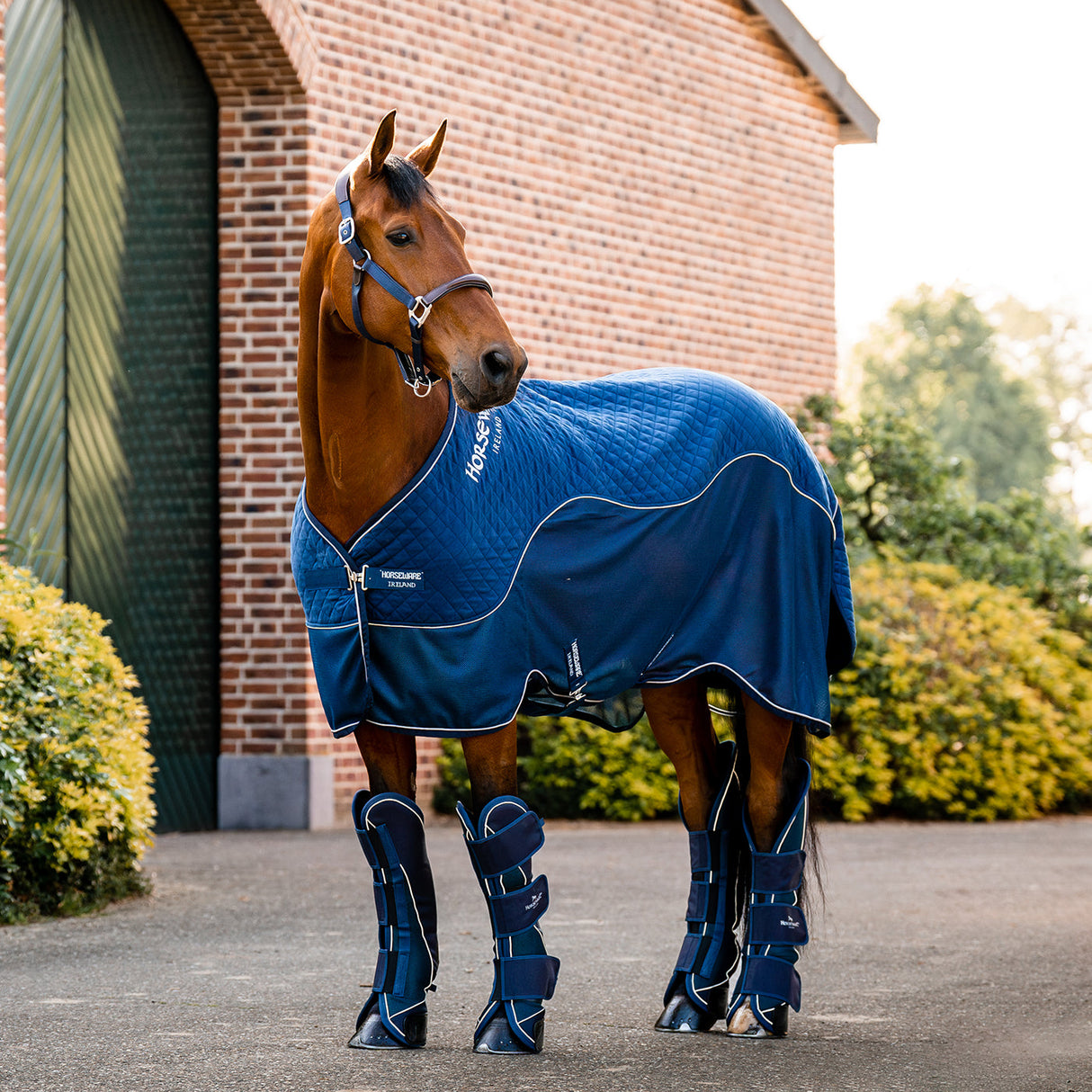 Horseware Signature Travel Boots