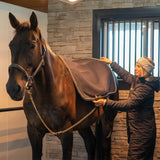 Thermal Therapy Back Warmer