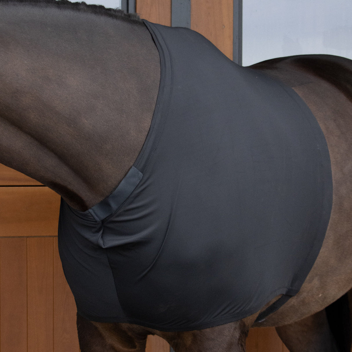 Shedrow Lycra Shoulder Guard