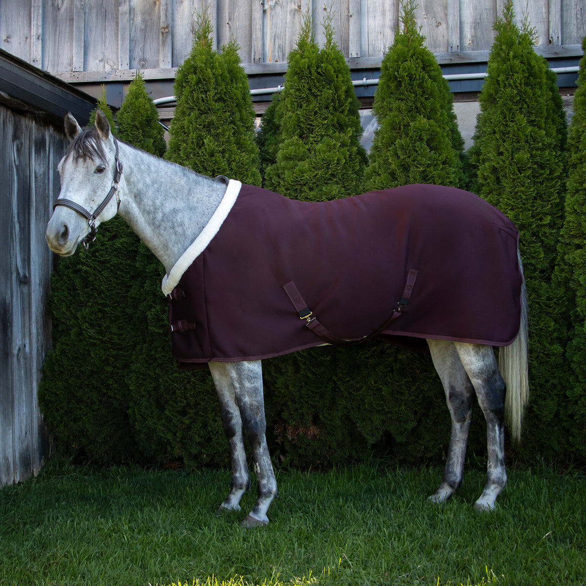 Shedrow Softshell Cooler