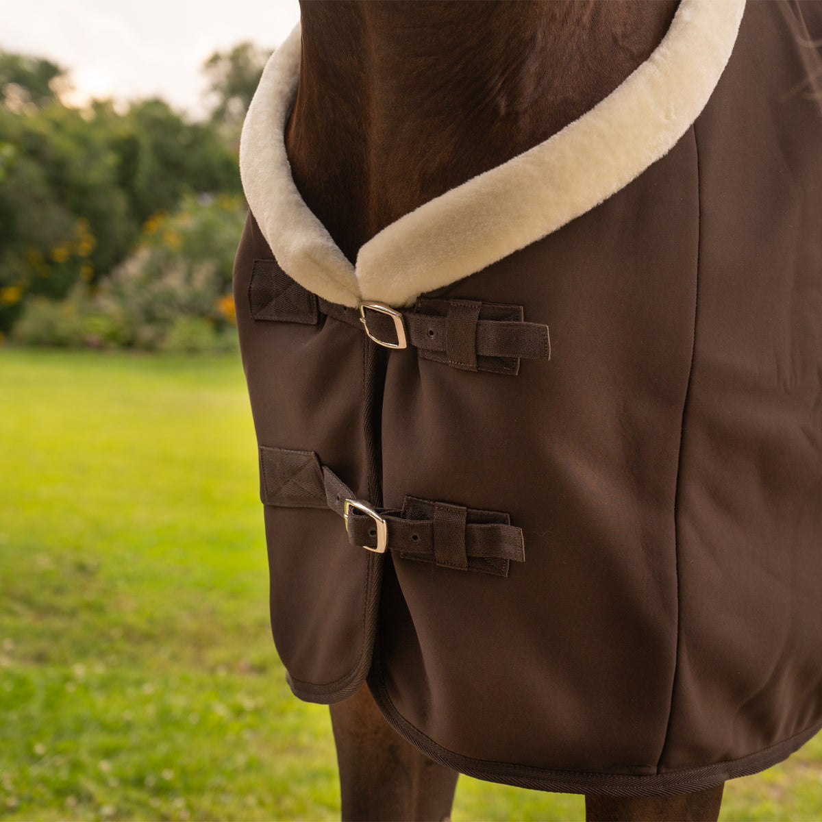 Shedrow Softshell Cooler
