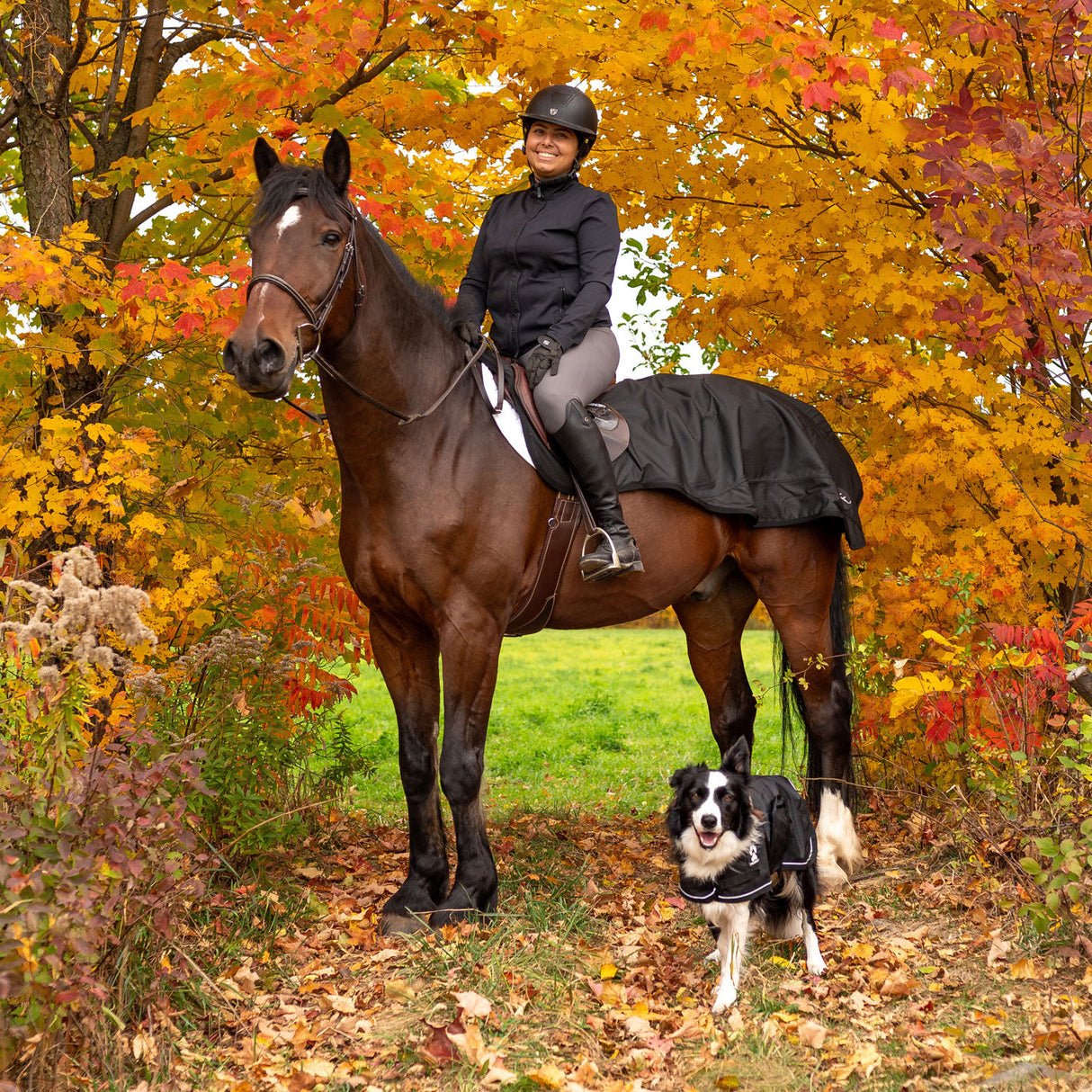 Shedrow Weatherproof Exercise Sheet