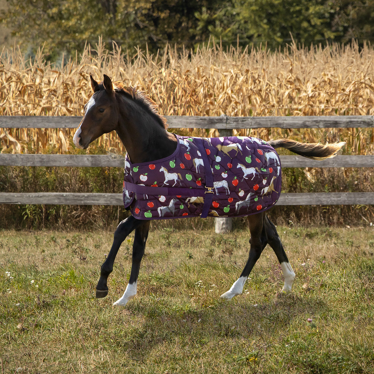 Supra Foal Blanket 300 g