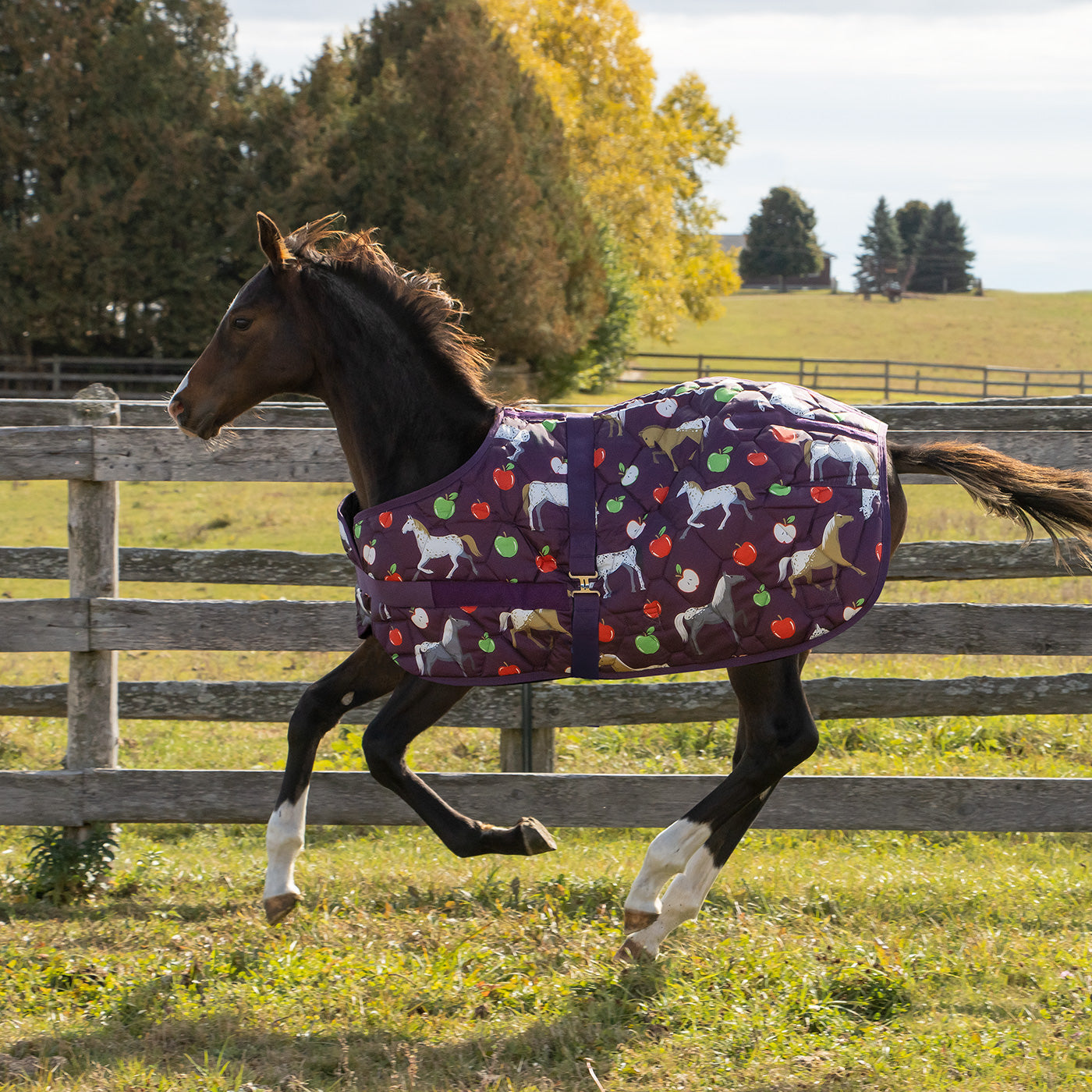 Supra Foal Blanket 300 g