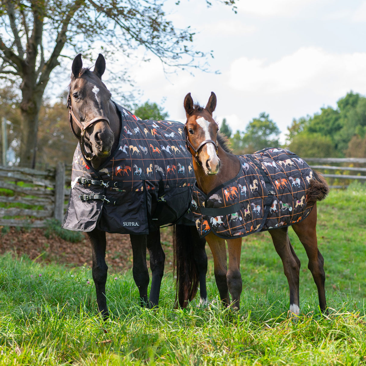 Supra Foal Blanket 300 g
