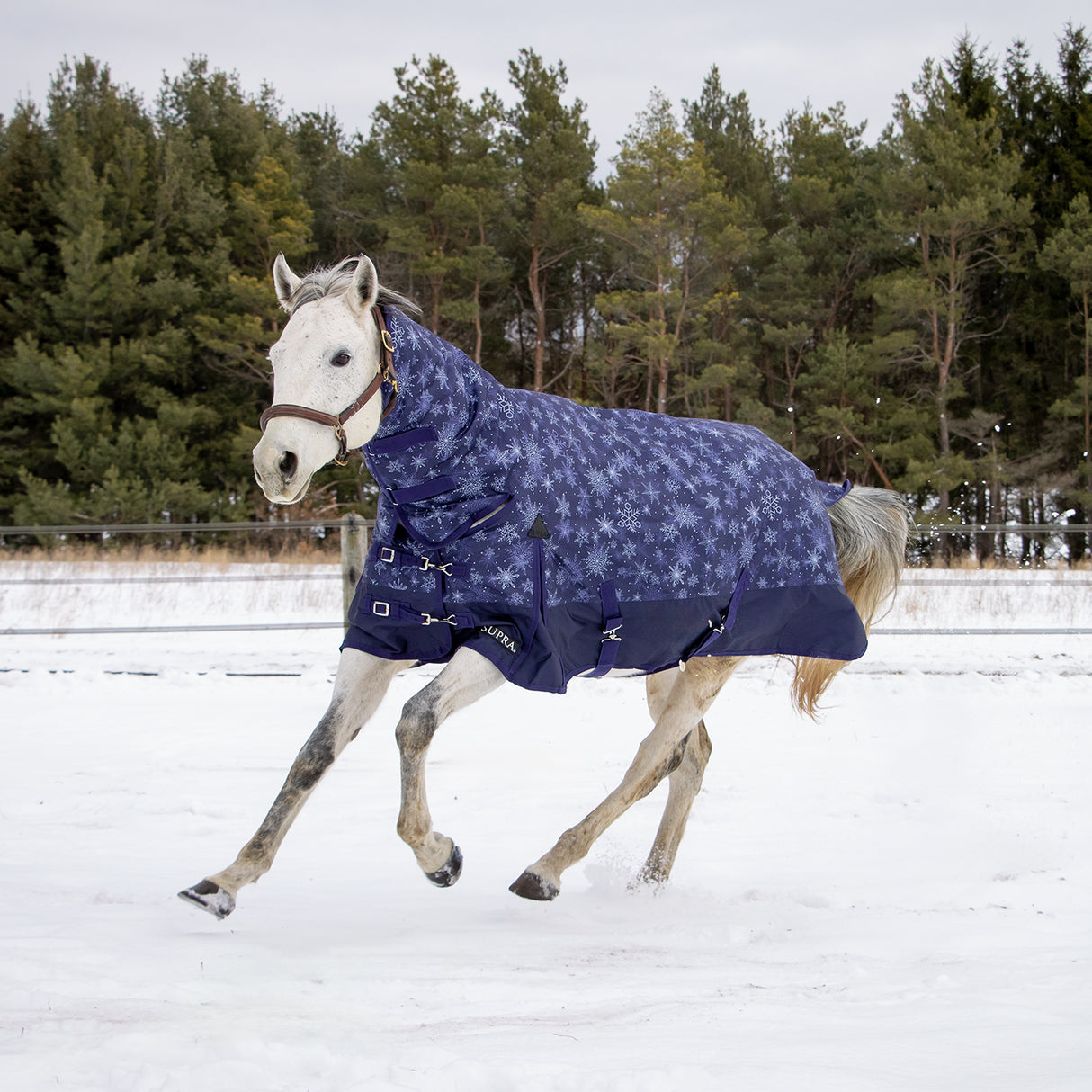 Supra Full Neck Turnout Blanket 300 g