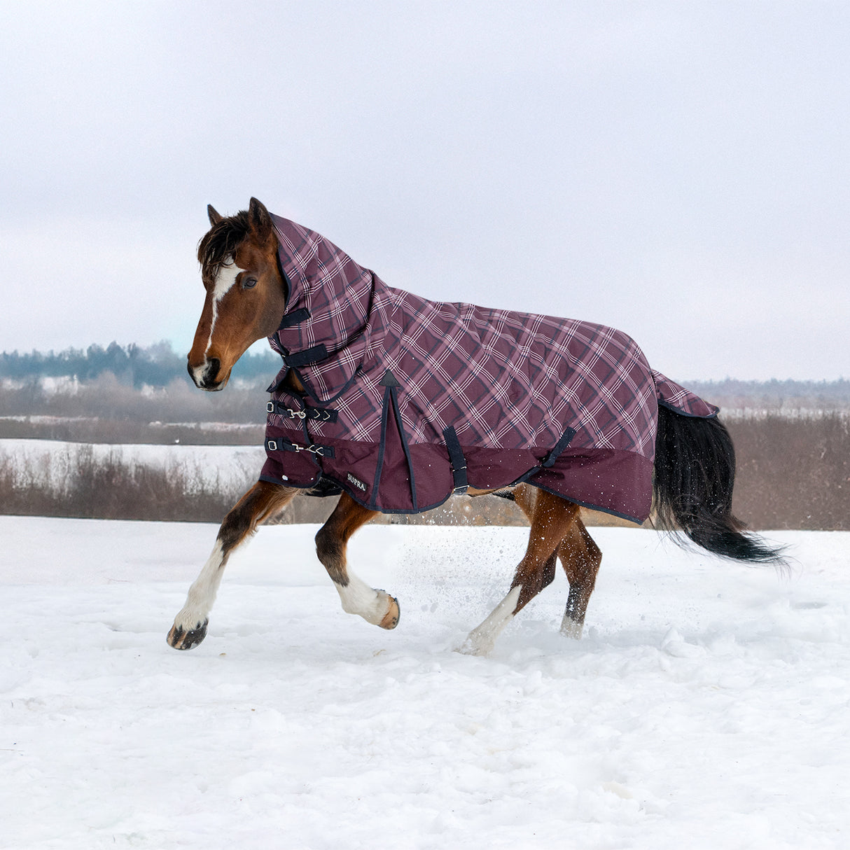Supra Full Neck Turnout Blanket 300 g