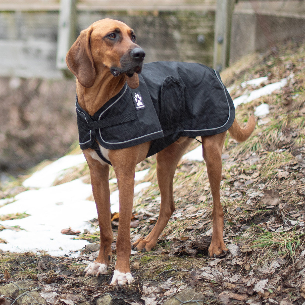 Shedrow K9 Harbor 2.0 Rain Coat