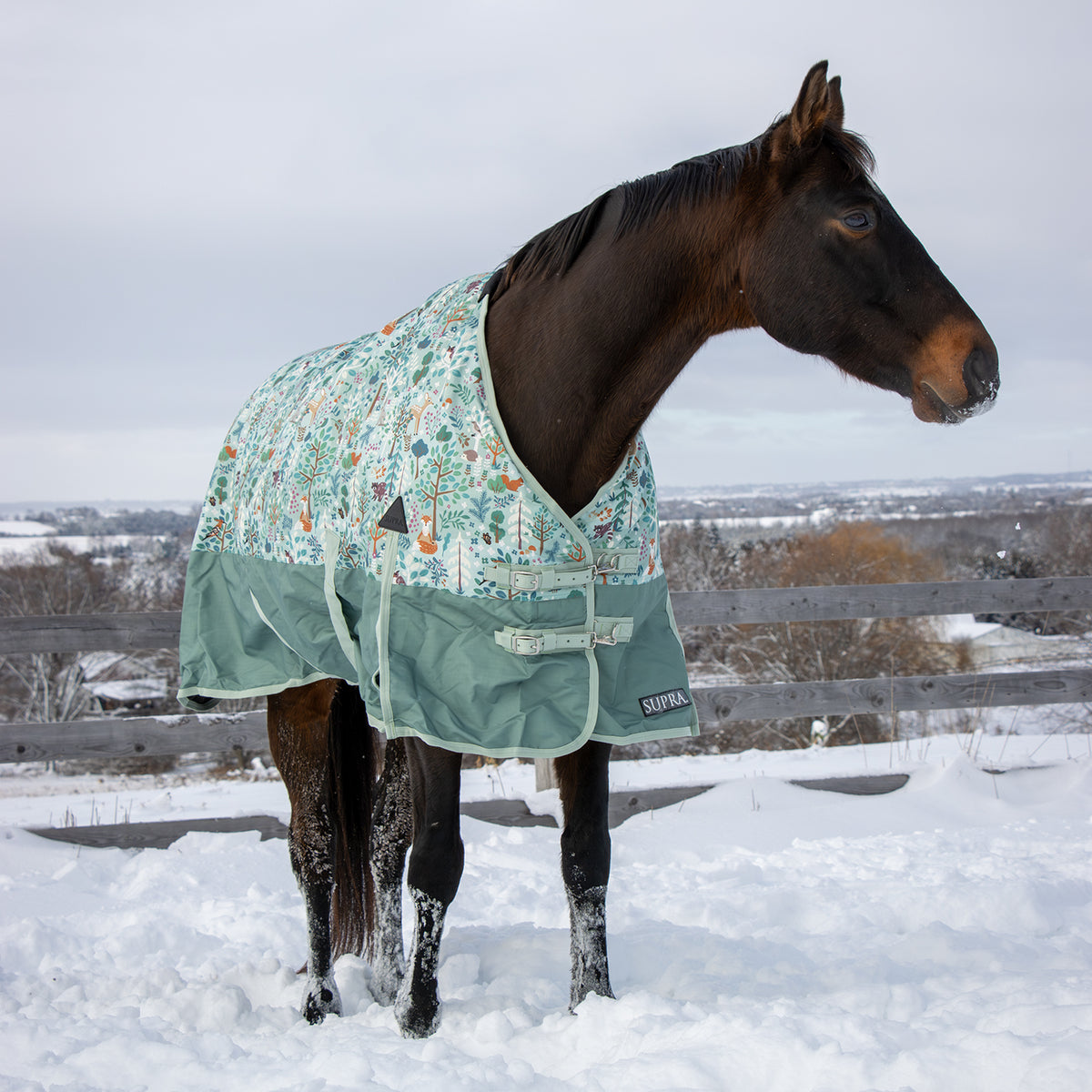 Supra Turnout Blanket 300 g
